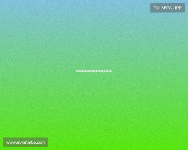 土耳其女排世界排球联赛总决赛夺冠中国女排获亚军